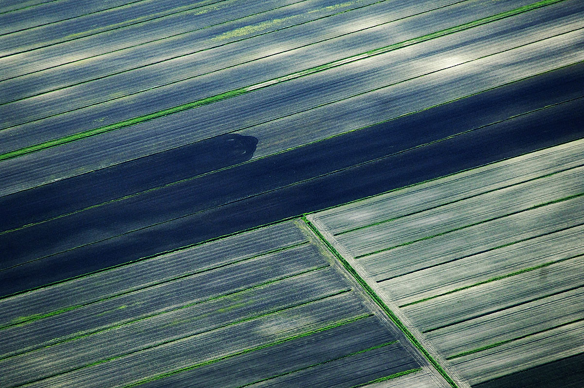 Abstract Aerial View of Field in Aquileia, Udine, Italy.