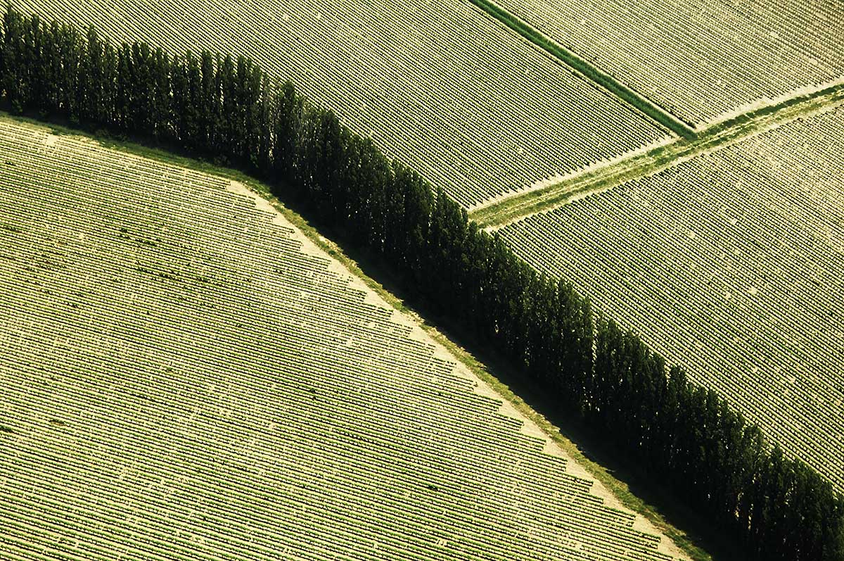 Abstract Aerial View of Field in Arles, France.