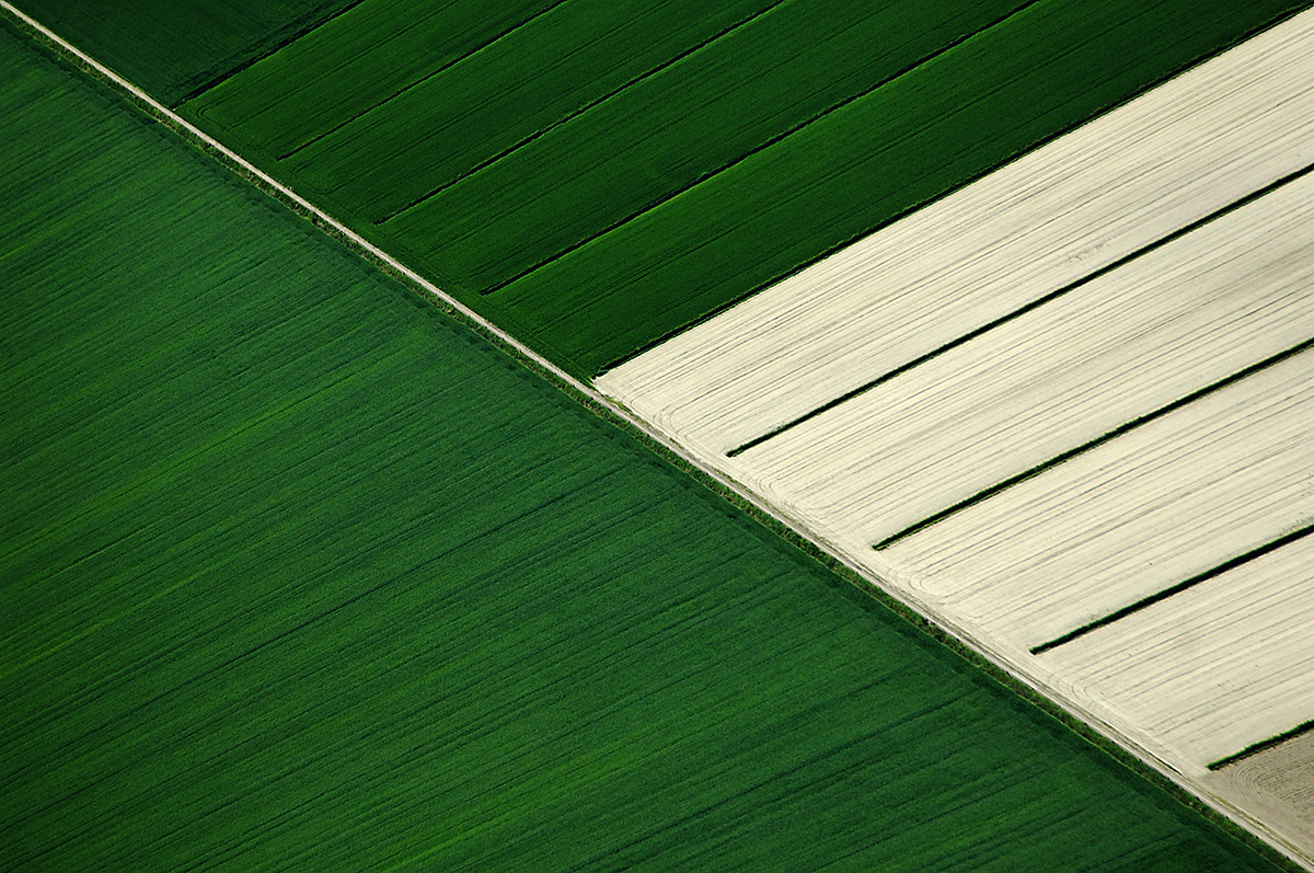 Abstract Aerial View of Field in Bibione, Venice, Italy.