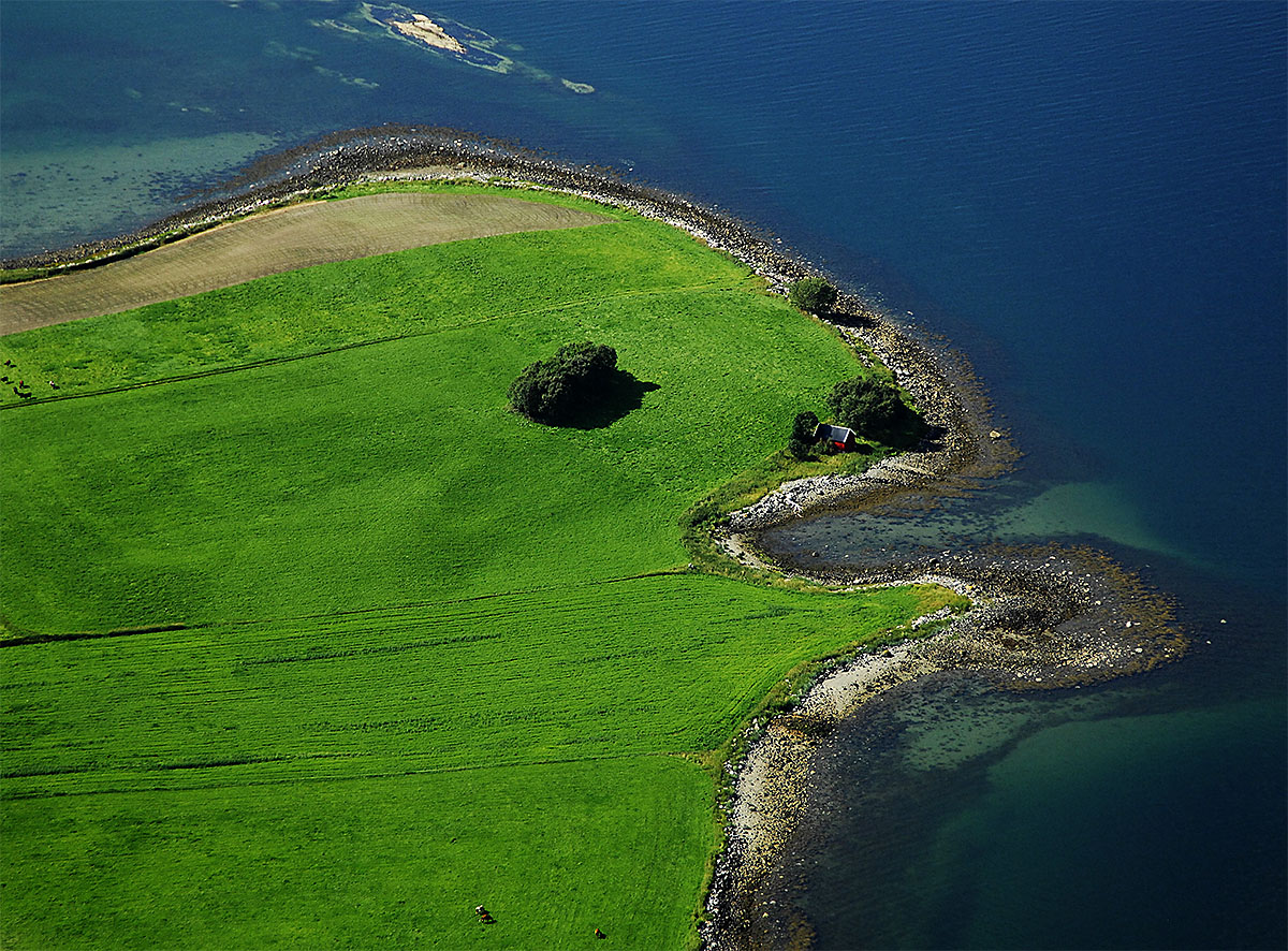 Abstract Aerial View of Peninsula Shaped like Delfin Head, Swalmen, Netherlands.