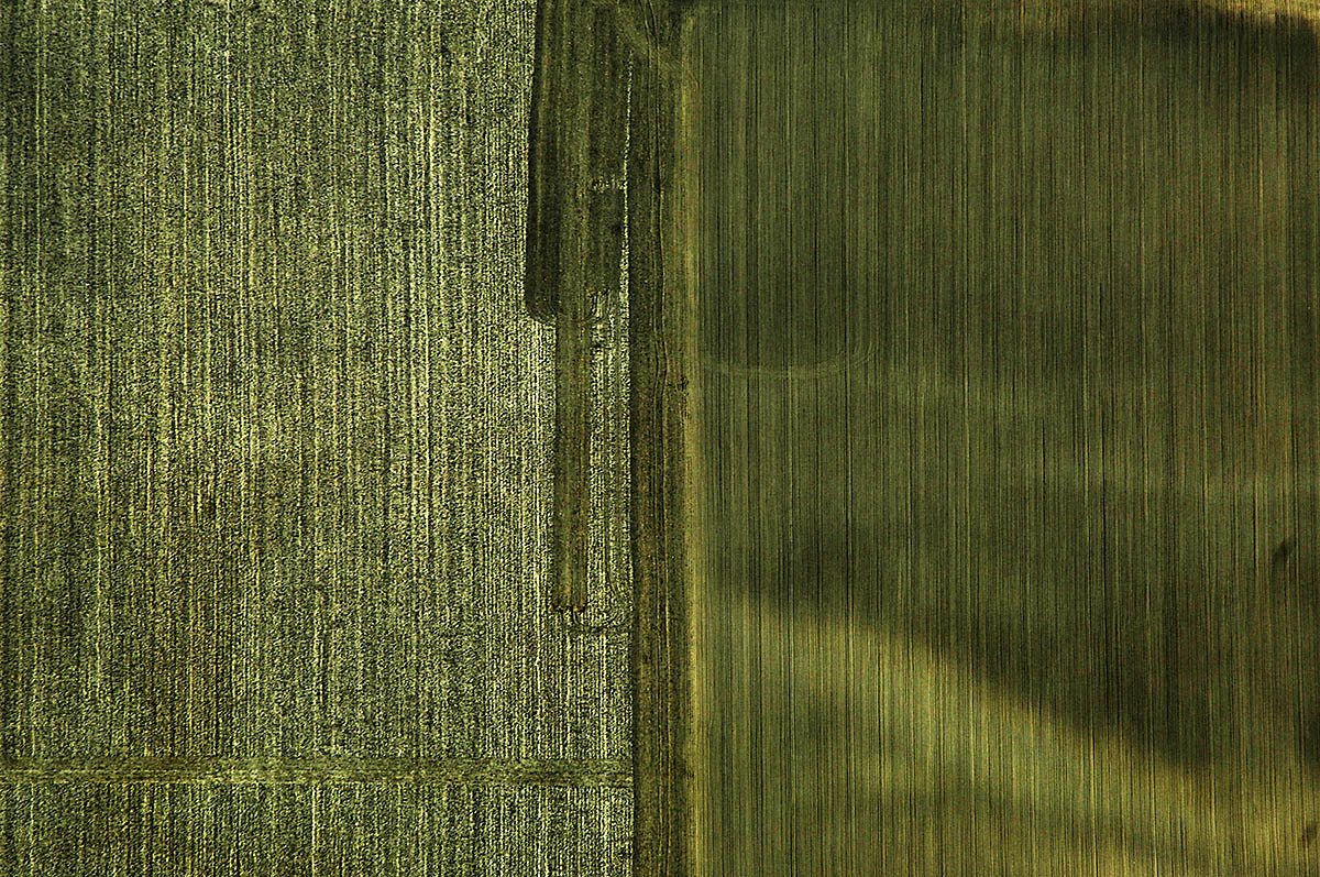 Abstract Aerial View of Braun Field near Eraclea Mare, Italy.