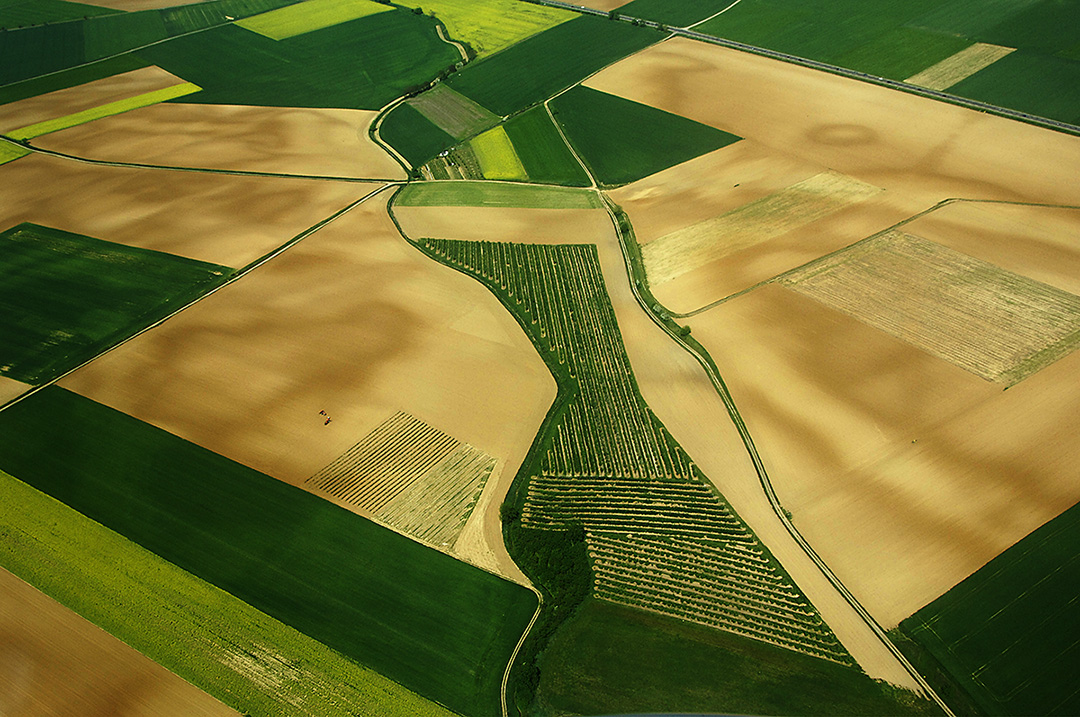 Abstract Aerial View of Few Fields in Saint-Prim, France.