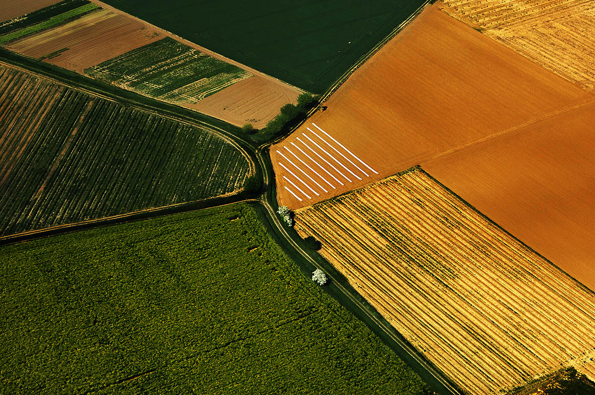 Abstract Aerial View of Field in Saint-Prim, France.