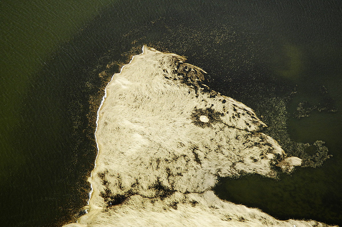 Aerial Top View of Swan Nest, Kalvon Island, Finland.