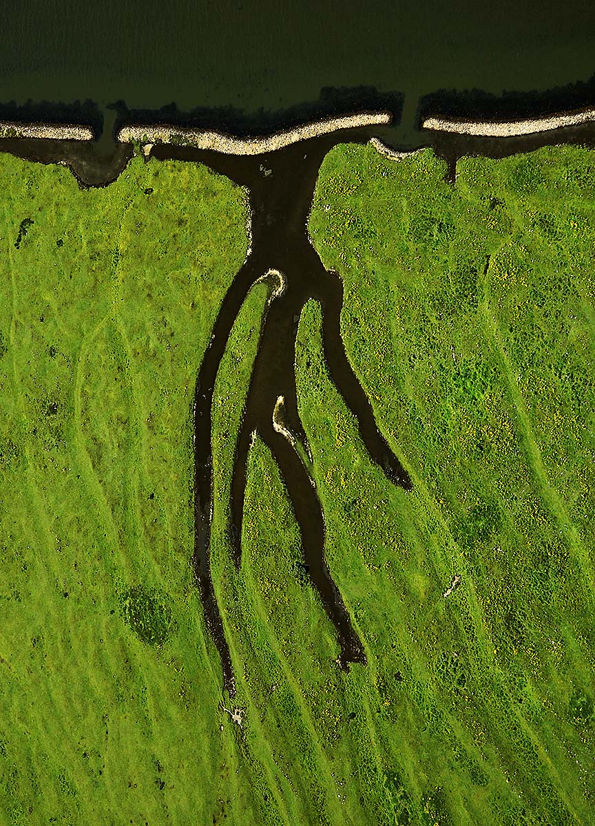 Aerial Abstract Man Shaped Water Channels in Wolphaartsdijk, Netherlands.