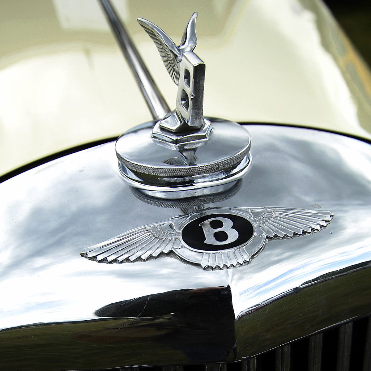 Detail of Classic British Car Front Ornament Bentley